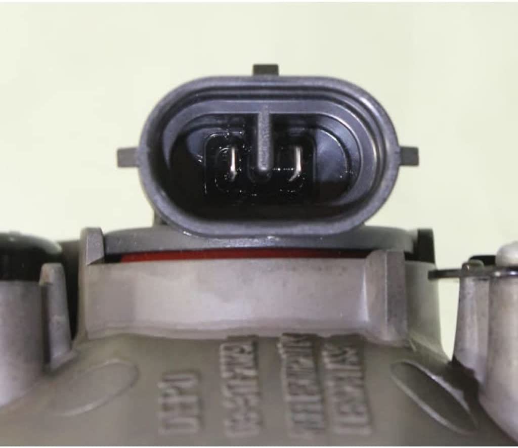 SN10.1807-FL - Image 3