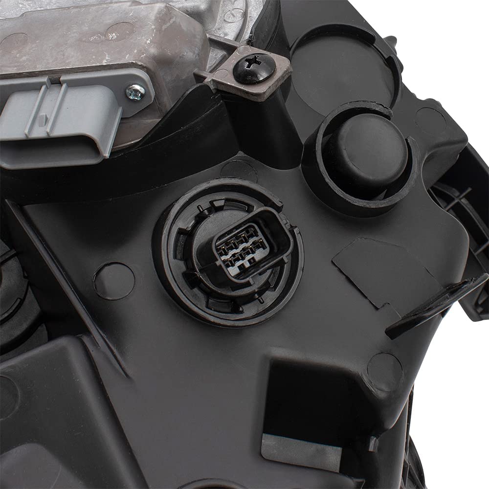 SN10.1916-HL** - Image 7